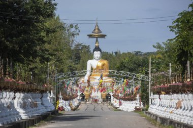 Uttaradit şehrinin Uttaradit kenti yakınlarındaki Wat Khung Taphao 'da Büyük Buda. Tayland, Uttaradit, 26 Kasım 2024.