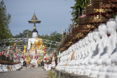 Uttaradit şehrinin Uttaradit kenti yakınlarındaki Wat Khung Taphao 'da Büyük Buda. Tayland, Uttaradit, 26 Kasım 2024.