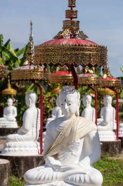 Tayland 'ın Uttaradit ili yakınlarındaki Wat Khung Taphao' da Buda figürleri. Tayland, Uttaradit, 26 Kasım 2024.
