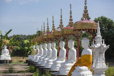 Tayland 'ın Uttaradit ili yakınlarındaki Wat Khung Taphao' da Buda figürleri. Tayland, Uttaradit, 26 Kasım 2024.