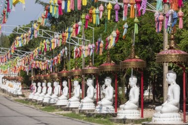 Uttaradit şehrinin Uttaradit kenti yakınlarındaki Wat Khung Taphao 'da Büyük Buda. Tayland, Uttaradit, 26 Kasım 2024.