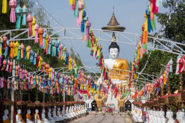 Uttaradit şehrinin Uttaradit kenti yakınlarındaki Wat Khung Taphao 'da Büyük Buda. Tayland, Uttaradit, 26 Kasım 2024.