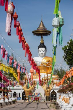 Uttaradit şehrinin Uttaradit kenti yakınlarındaki Wat Khung Taphao 'da Büyük Buda. Tayland, Uttaradit, 26 Kasım 2024.
