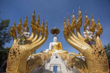 Uttaradit şehrinin Uttaradit kenti yakınlarındaki Wat Khung Taphao 'da Büyük Buda. Tayland, Uttaradit, 26 Kasım 2024.