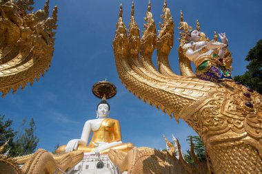 Uttaradit şehrinin Uttaradit kenti yakınlarındaki Wat Khung Taphao 'da Büyük Buda. Tayland, Uttaradit, 26 Kasım 2024.