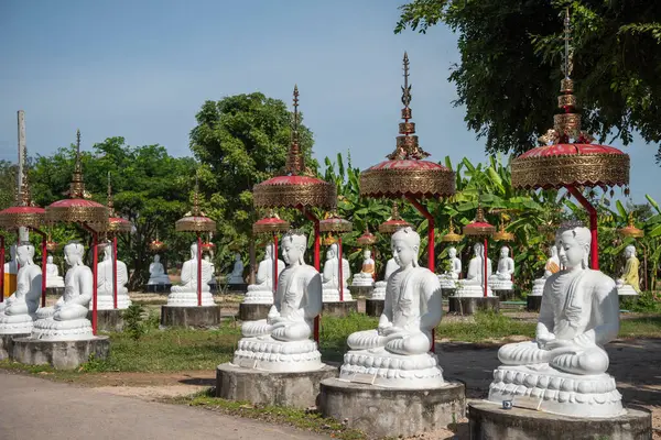 Tayland 'ın Uttaradit ili yakınlarındaki Wat Khung Taphao' da Buda figürleri. Tayland, Uttaradit, 26 Kasım 2024.