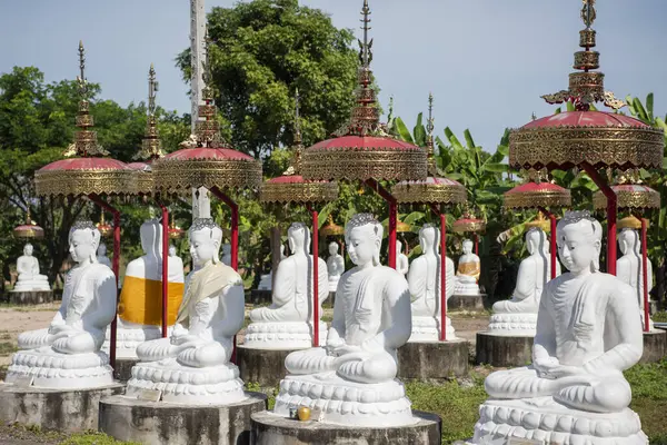 Tayland 'ın Uttaradit ili yakınlarındaki Wat Khung Taphao' da Buda figürleri. Tayland, Uttaradit, 26 Kasım 2024.