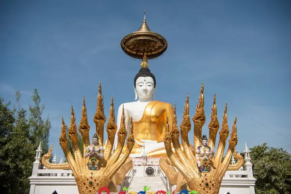 Uttaradit şehrinin Uttaradit kenti yakınlarındaki Wat Khung Taphao 'da Büyük Buda. Tayland, Uttaradit, 26 Kasım 2024.