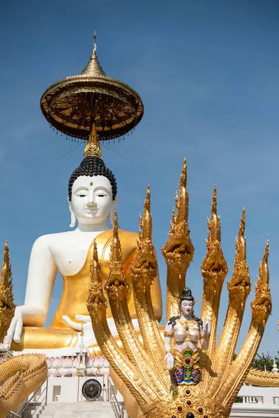 Uttaradit şehrinin Uttaradit kenti yakınlarındaki Wat Khung Taphao 'da Büyük Buda. Tayland, Uttaradit, 26 Kasım 2024.