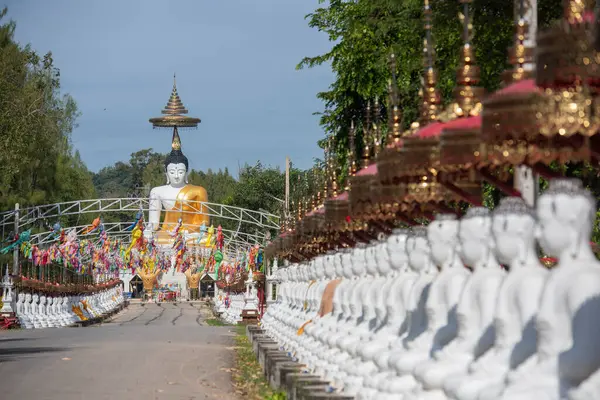 Uttaradit şehrinin Uttaradit kenti yakınlarındaki Wat Khung Taphao 'da Büyük Buda. Tayland, Uttaradit, 26 Kasım 2024.