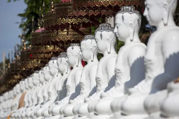 Tayland 'ın Uttaradit ili yakınlarındaki Wat Khung Taphao' da Buda figürleri. Tayland, Uttaradit, 26 Kasım 2024.