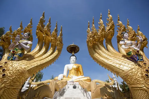 Uttaradit şehrinin Uttaradit kenti yakınlarındaki Wat Khung Taphao 'da Büyük Buda. Tayland, Uttaradit, 26 Kasım 2024.