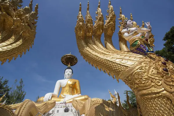 Uttaradit şehrinin Uttaradit kenti yakınlarındaki Wat Khung Taphao 'da Büyük Buda. Tayland, Uttaradit, 26 Kasım 2024.