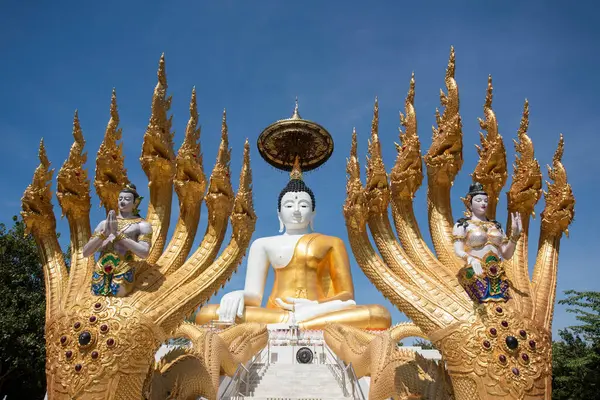 Uttaradit şehrinin Uttaradit kenti yakınlarındaki Wat Khung Taphao 'da Büyük Buda. Tayland, Uttaradit, 26 Kasım 2024.