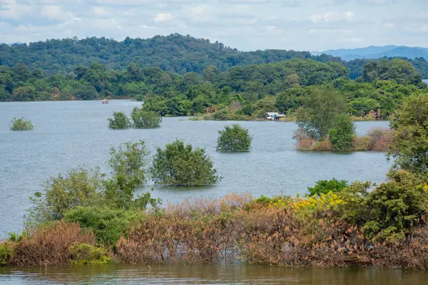 Tayland 'ın Uttaradit ilindeki Chong Khao Khat Barajı' ndaki Sirikit Gölü manzarası. Tayland, Uttaradit, 27 Kasım 2024.