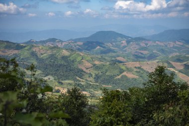 Kuzey Tayland 'ın Nan ilindeki Khun Sathan Ulusal Parkı' nda pelerin. Tayland, Nan, 22 Kasım 2024.