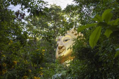 Phrae şehri ve Kuzey Tayland 'daki Phrae ili yakınlarındaki Wat Phra that Inkhang. Tayland, Phrae, 24 Kasım 2024.