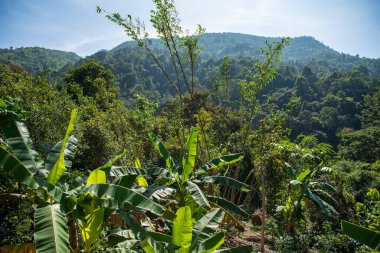 Phrae şehri yakınlarındaki Ban Nakhuha Köyü ve Kuzey Tayland 'daki Phrae ili yakınlarındaki manzara. Tayland, Phrae, 24 Kasım 2024.