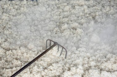 Kuzey Tayland 'ın Phrae ilindeki Sa-iap Köyü' ndeki Rice Spirits Factory Ban Kruathong 'da yapışkan pirinç. Tayland, Phrae, Kasım, 25, 2024.