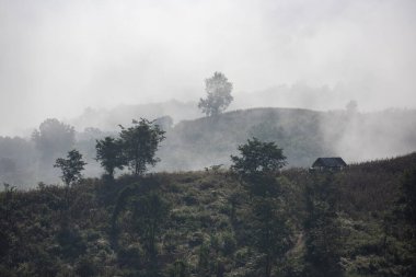 Tayland, Sapan: 21 Kasım 2024 - Kuzey Tayland 'da Ban Bo Kluea yakınlarındaki Ban Yot Doi Geçidi' nde sabah sisi. 
