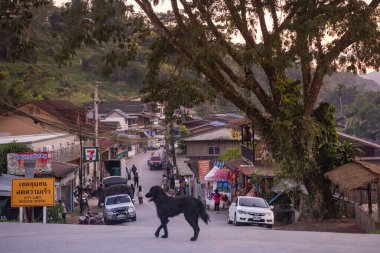 Tayland, Pua: 19 Kasım 2024 - Kuzey Tayland 'ın Nan ilindeki Ban Bo Klua kasabasının manzarası.  