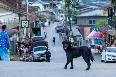 Tayland, Pua: 19 Kasım 2024 - Kuzey Tayland 'ın Nan ilindeki Ban Bo Klua kasabasının manzarası.  
