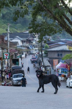 Tayland, Pua: 19 Kasım 2024 - Kuzey Tayland 'ın Nan ilindeki Ban Bo Klua kasabasının manzarası.  