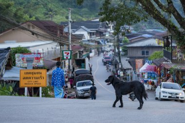 Tayland, Pua: 19 Kasım 2024 - Kuzey Tayland 'ın Nan ilindeki Ban Bo Klua kasabasının manzarası.  