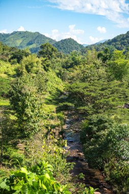 Kuzey Tayland 'ın Nan ilindeki Ba Klua kasabasındaki Mea Mang Nehri..  