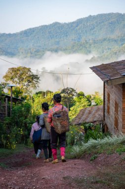 Tayland, Sapan: 21 Kasım 2024 - Taylandlı azınlık çiftçileri Kuzey Tayland 'da Nan ilindeki Ban Bo Kluea yakınlarında Ban Yot Doi Geçidi' nde.  