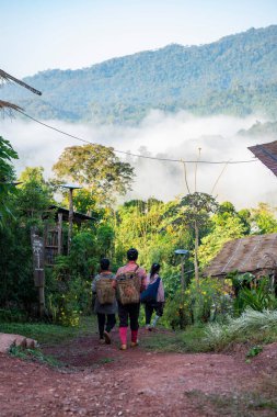 Tayland, Sapan: 21 Kasım 2024 - Taylandlı azınlık çiftçileri Kuzey Tayland 'da Nan ilindeki Ban Bo Kluea yakınlarında Ban Yot Doi Geçidi' nde.  