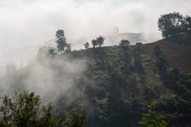 Tayland, Sapan: 21 Kasım 2024 - Kuzey Tayland 'da Ban Bo Kluea yakınlarındaki Ban Yot Doi Geçidi' nde sabah sisi. 