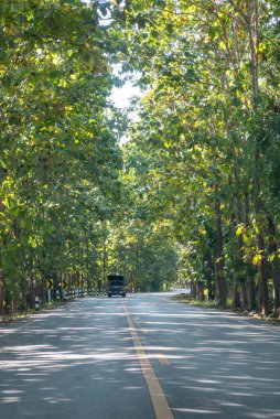 Tayland, Sapan: 21 Kasım 2024 - Kuzey Tayland 'da Nan şehrinde bir yol.  