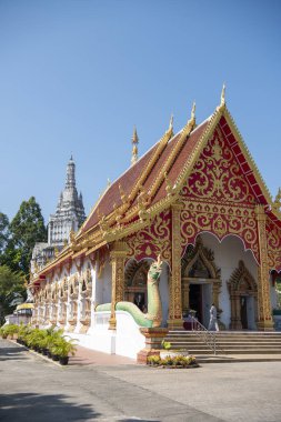 Tayland, Nan: 21 Kasım 2024 - Wat Suan Tan Kuzey Tayland 'daki Nan şehrinde.  