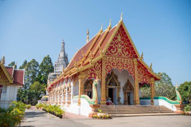 Tayland, Nan: 21 Kasım 2024 - Wat Suan Tan Kuzey Tayland 'daki Nan şehrinde.  