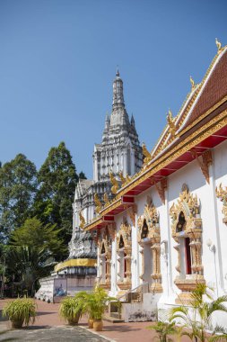 Tayland, Nan: 21 Kasım 2024 - Wat Suan Tan Kuzey Tayland 'daki Nan şehrinde.  