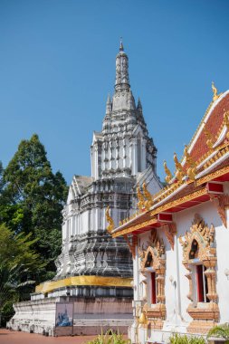 Tayland, Nan: 21 Kasım 2024 - Wat Suan Tan Kuzey Tayland 'daki Nan şehrinde.  