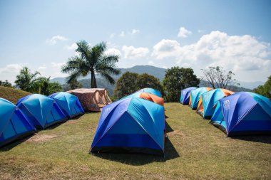 Tayland, Nan: 22 Kasım 2024 - Kuzey Tayland 'ın Nan ilindeki Doi Samer Dao veya Na Noi' de kamp.  
