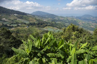 Tayland, Nan: 22 Kasım 2024 - Kuzey Tayland 'ın Nan ilindeki Doi Samer Dao veya Na Noi' de manzara.  