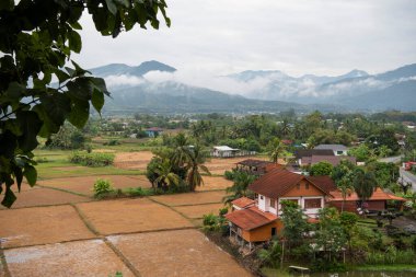 Tayland, Pua: 18 Kasım 2024 - Kuzey Tayland 'ın Nan ilindeki Doi Phu Kha Nationalpark manzaralı Pua Town üzerinde sis manzarası.