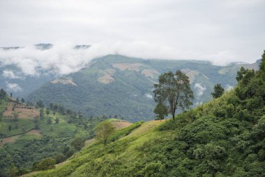 Kuzey Tayland 'ın Nan ilindeki Pua Town yakınlarındaki Ban Sakad köyünde manzara.