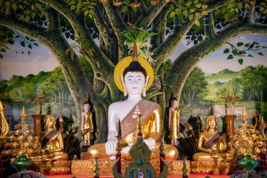 Tayland, Pua: 18 Kasım 2024 - Kuzey Tayland 'ın Nan ilindeki Pua kasabasındaki Wat Phuket Tapınağı.