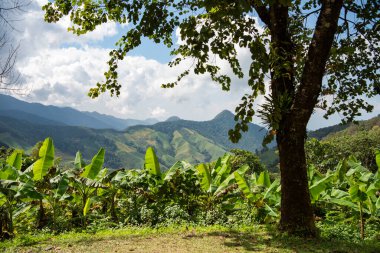 Kuzey Tayland 'ın Nan ilindeki Doi Phu Kha Milli Parkı' ndaki Phu Kha Manzarası. 