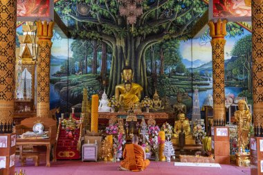 Tayland, Pua: 19 Kasım 2024 - Kuzey Tayland 'ın Nan ilindeki Ba Klua kasabasındaki Wat Bo Luang' ın içinde. 