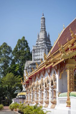 Tayland, Nan: 21 Kasım 2024 - Wat Suan Tan Kuzey Tayland 'daki Nan şehrinde.  