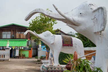 Tayland, Nan: 15 Kasım 2024 - Nan şehrinde Wat Tachang, Kuzey Tayland.  