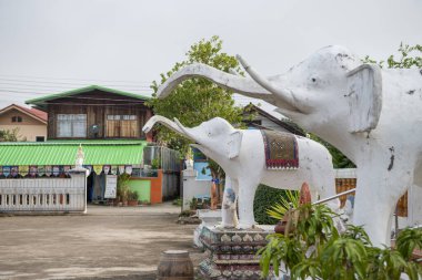 Tayland, Nan: 15 Kasım 2024 - Nan şehrinde Wat Tachang, Kuzey Tayland.  
