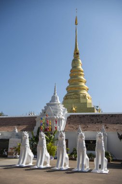 Tayland, Nan: 15 Kasım 2024 - Kuzey Tayland 'ın Nan şehrindeki Chae Haeng şehrinde Wat Phra' da Chedi.  