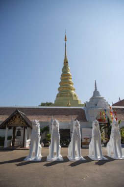 Tayland, Nan: 15 Kasım 2024 - Kuzey Tayland 'ın Nan şehrindeki Chae Haeng şehrinde Wat Phra' da Chedi.  