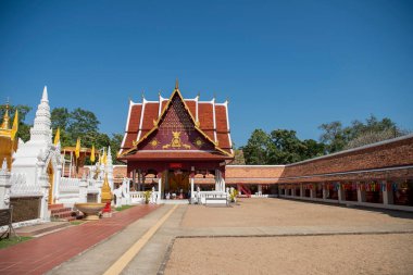 Tayland, Nan: 15 Kasım 2024 - Kuzey Tayland 'ın Nan şehrindeki Chae Haeng şehrinde Wat Phra' da Chedi.  